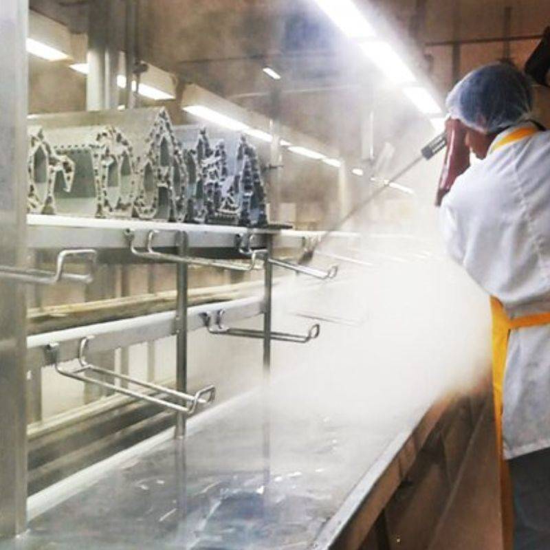 10 Grupo Industrial Cl